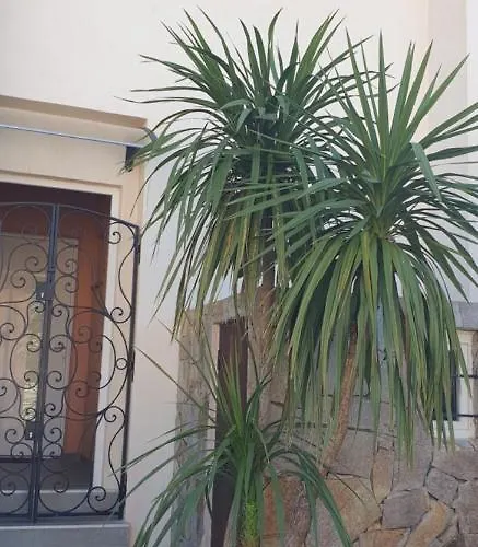 Vue Montagnes Et Citadelle Casa Di A Murza * Calvi (Corsica)