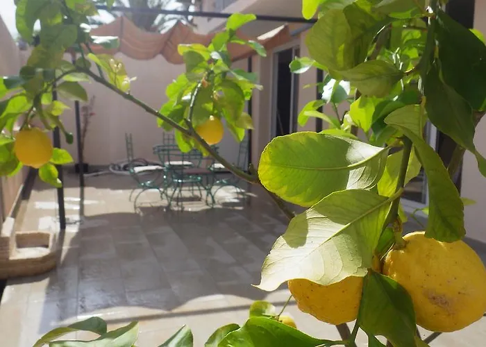 Vue Montagnes Et Citadelle Casa Di A Murza Appartement Calvi (Corsica)