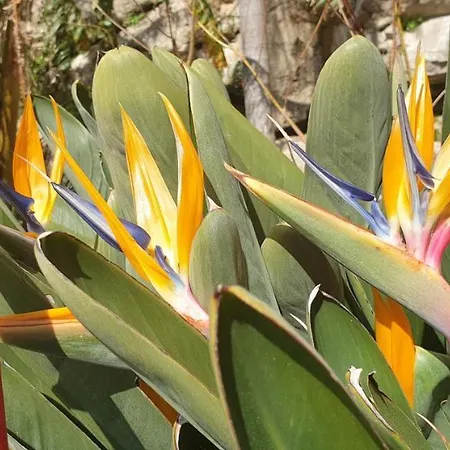 Casa Di A Murza Apartamento