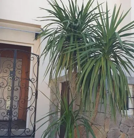 Casa Di A Murza * Καλβί