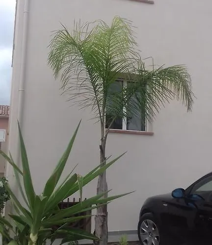 Vue Montagnes Et Citadelle Casa Di A Murza كالفي